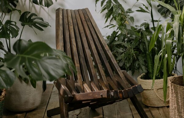 Sedia in legno tropicale scuro tra le piante: pro e contro dei legni esotici