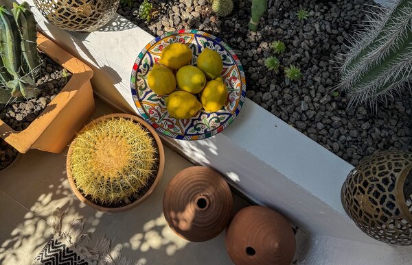 Dettaglio mediterraneo con vasi in terracotta e piante