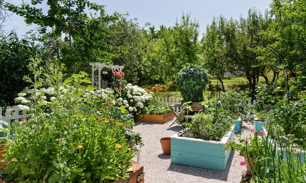 Giardino