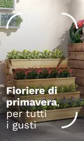 Plant pots for all tastes 3