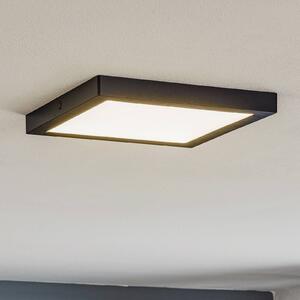 Paulmann Pannello LED Abia, Nero, Soggiorno / Sala da pranzo, Plastica, Moderno, Plafoniera LED