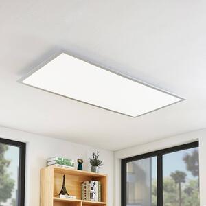 Plafoniera LED Lindby Zento, 120 cm, argento, 4.000 K Zento, Alluminio / Grigio / Zincato, Cucina, Plastica, Moderno, Pannello LED
