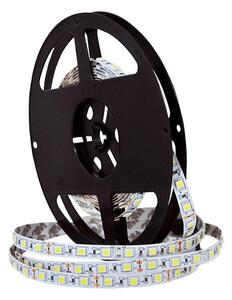 Striscia LED 5m 28W/12V IP20 6500K
