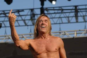 Fotografia Venice 06 20 2008 The Rock Singer Iggy Pop and The Stooges