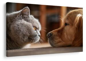 Quadro su tela – Sguardo felino e amicizia canina