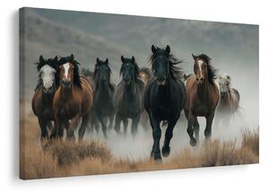 Quadro su tela – Cavalli selvaggi nella nebbia