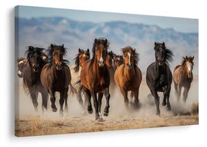 Quadro su tela – Corsa selvaggia di cavalli nel paesaggio