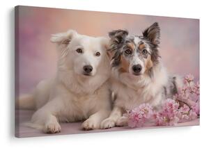Quadro su tela – Amicizia canina tra i fiori