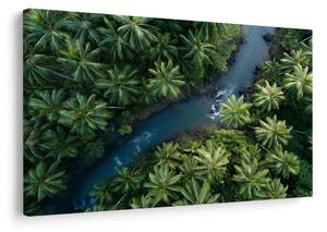 Quadro su tela – Fiume tropicale nella giungla