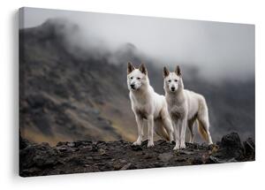 Quadro su tela – Lupi tra le montagne nebbiose