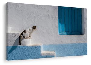 Quadro su tela – Gatto sui gradini blu