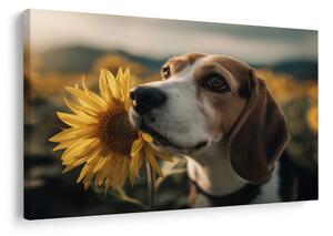 Quadro su tela – Cane e girasoli nel campo