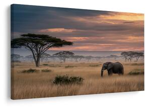 Quadro su tela – Tramonto africano con fauna selvatica
