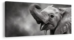 Quadro su tela – Momento gioioso dell'elefante
