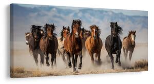 Quadro su tela – Mandria di cavalli in movimento