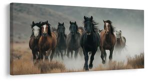 Quadro su tela – Mandria di cavalli in movimento