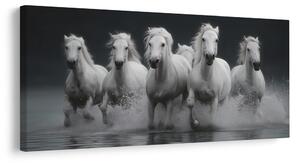 Quadro su tela – Corsa selvaggia di cavalli bianchi