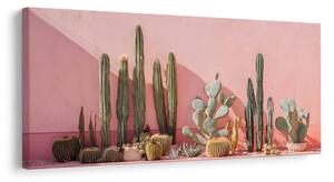 Quadro su tela – Giardino di cactus moderno