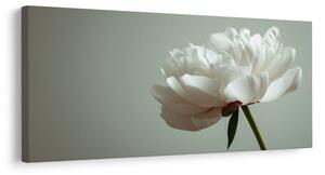 Quadro su tela – Eleganza floreale su bianco