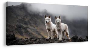 Quadro su tela – Guardiani della natura selvaggia