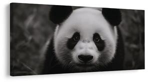 Quadro su tela – Panda bianco e nero sorridente