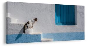 Quadro su tela – Gatto tranquillo alla finestra