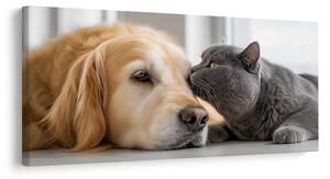 Quadro su tela – Armonia degli animali domestici