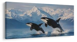 Quadro su tela – Orche in paesaggio glaciale