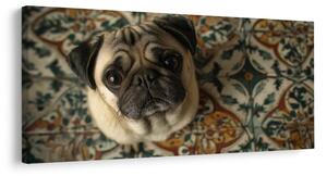 Quadro su tela – Sguardo canino su ornamenti