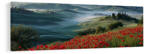 Quadro su tela – Paesaggio con valle nebbiosa