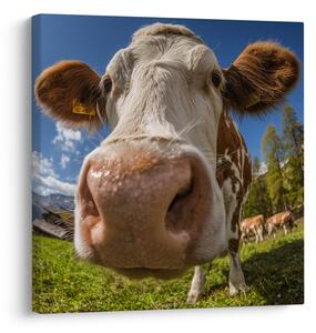 Quadro su tela – Vista della mucca al pascolo
