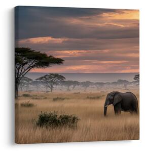 Quadro su tela – Paesaggio africano con acacia
