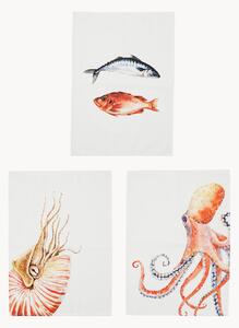 Set di 3 strofinacci in cotone Faune-Mar