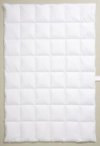 Centa-Star AMBIENTE: Coperta in fibra di bambù, leggera, 8 x 8, dimensioni 200 x 200 cm