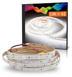 Striscia LED ATLA bianco freddo (6000k) 24W 5 metri 24V IP20 CRI 92
