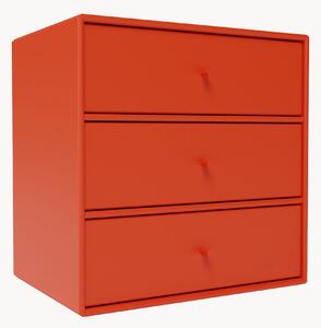 Modulo con cassetti Mini 1007