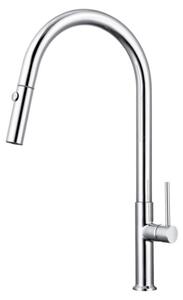 SAT miscelatore da cucina con canna a molla, 2 funzioni, cromo SATBSD288