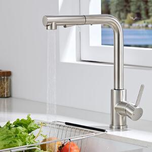 Rubinetto da cucina estraibile con doccetta, 2 posizioni