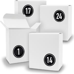 Calendario dell'Avvento da riempire, 24 cubetti BIANCHI + adesivi V07 Z08