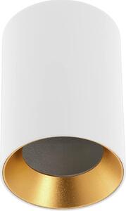 Plafoniera AERO II 20W 70x100mm IP20 rotonda bianco/oro OS-AERD20W-10
