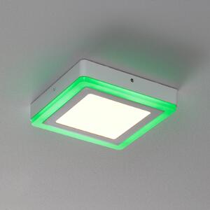 LEDVANCE LED Color+white square plafoniera 20cm