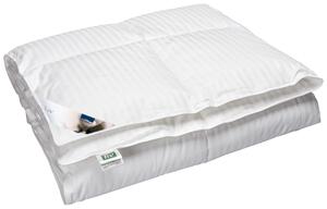Piumino Polydaun Liv singolo 200 cm x 200 cm