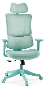 MyBuero Home Office sedia da ufficio Ergomy Colore sedia da scrivania con braccioli (regolabile in altezza) tessuto / rete sedia girevole
