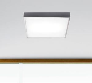Pujol Iluminación Plafoniera Apolo, IP44, 50 cm, cromo