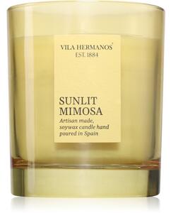 Vila Hermanos Sunlit Mimosa candela profumata 200 g