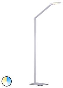 Q-Smart-Home Paul Neuhaus Q-HANNES lampada LED da terra