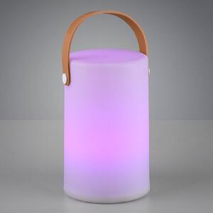 Reality Leuchten Lampada decorativa da esterni Aruba RGB a batteria