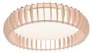 Plafoniera da Interno a LED in Plastica Bianco