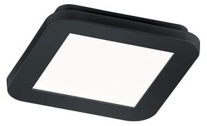 Plafoniera da Interno a LED in Plastica Nero Opaco