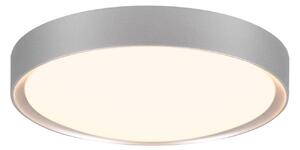 Plafoniera da Interno a LED in Plastica Titanio